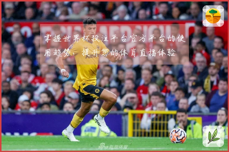 掌握世界杯投注平台官方平台的使用趋势，提升您的体育直播体验
