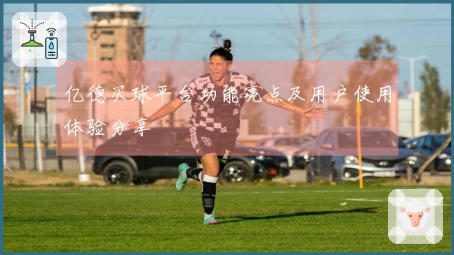 亿德买球平台功能亮点及用户使用体验分享