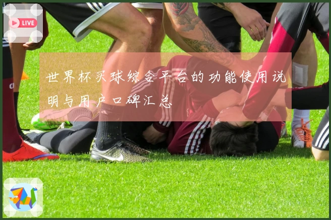 世界杯买球综合平台的功能使用说明与用户口碑汇总
