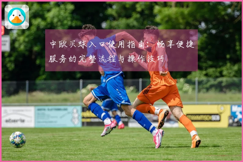 中欧买球入口使用指南：畅享便捷服务的完整流程与操作技巧