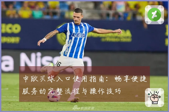 中欧买球入口使用指南：畅享便捷服务的完整流程与操作技巧