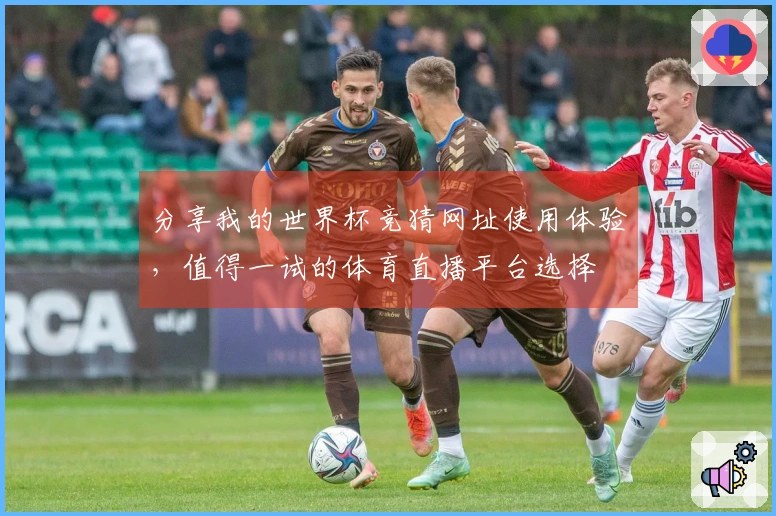 分享我的世界杯竞猜网址使用体验，值得一试的体育直播平台选择