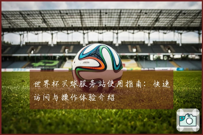 世界杯买球服务站使用指南：快速访问与操作体验介绍