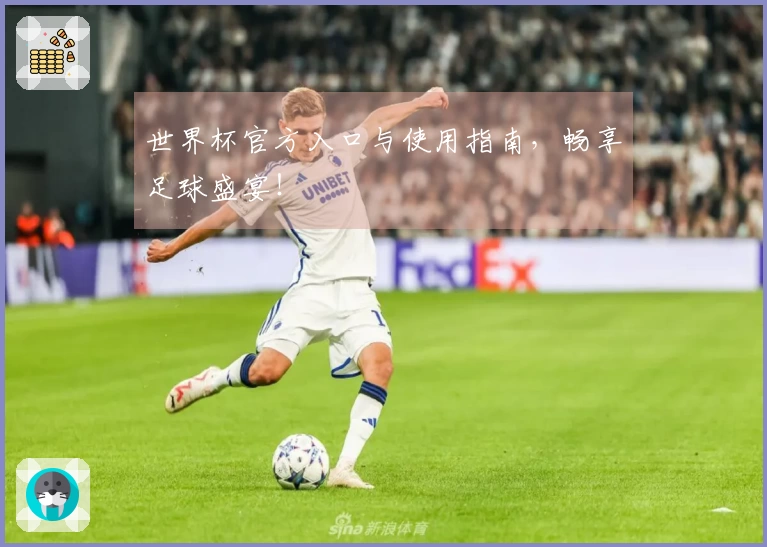 世界杯官方入口与使用指南,畅享足球盛宴!