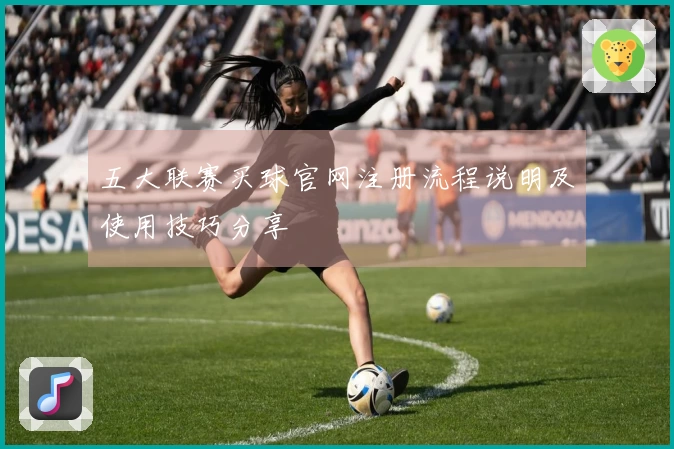 五大联赛买球官网注册流程说明及使用技巧分享