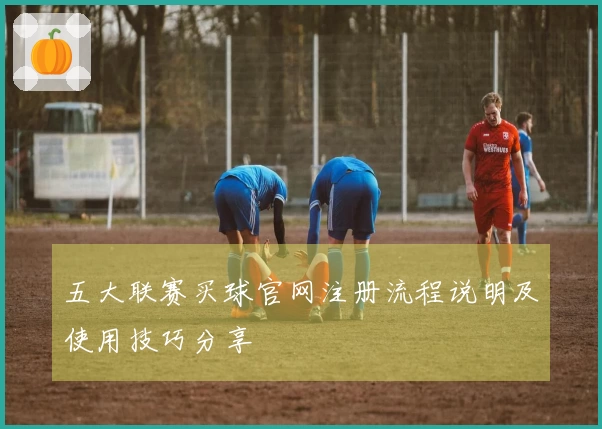 五大联赛买球官网注册流程说明及使用技巧分享