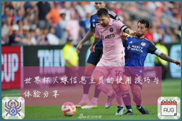 世界杯买球信息主页的使用技巧与体验分享